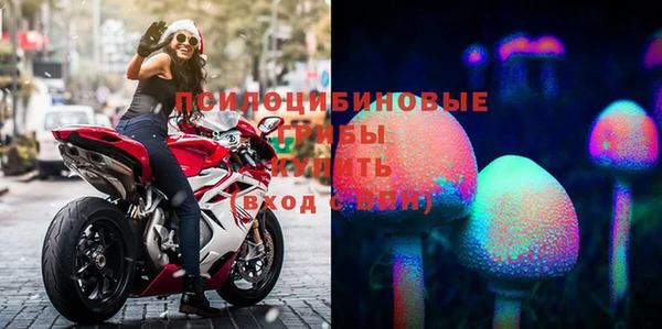 Альфа ПВП Пестово