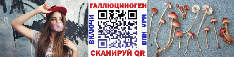 Псилоцибиновые грибы мицелий  наркошоп  Кинель 