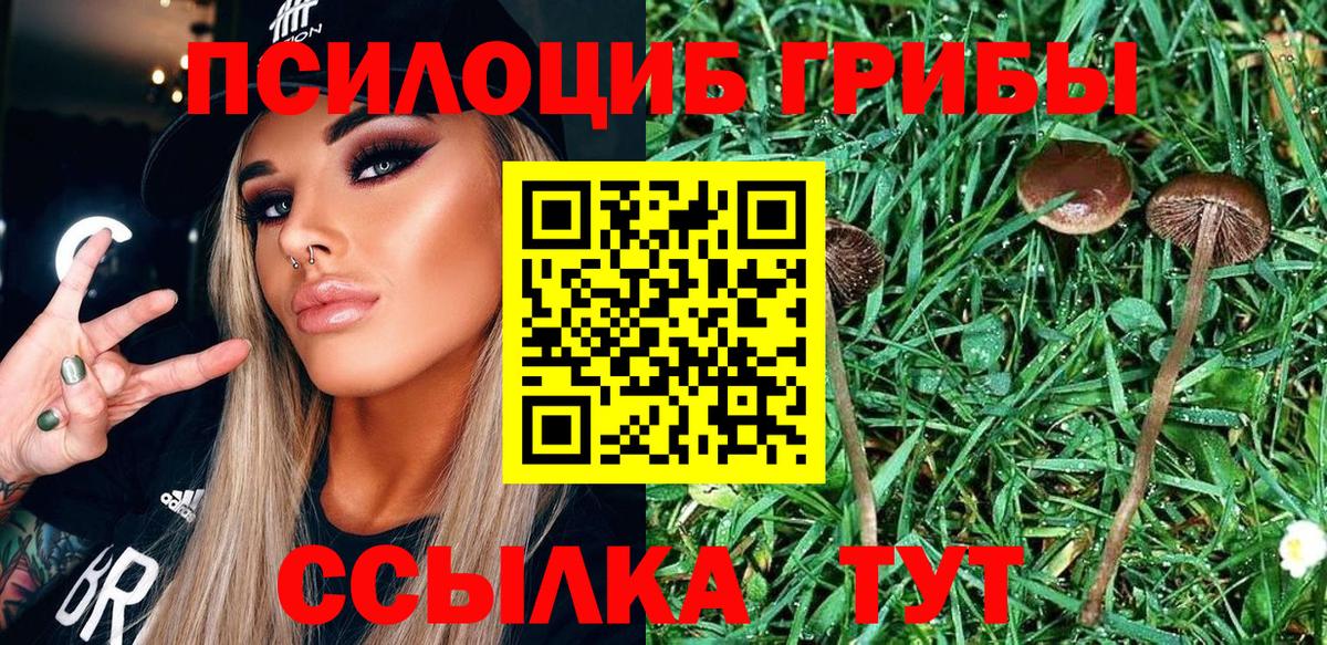 Галлюциногенные грибы мухоморы Кинель