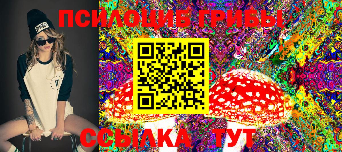 Псилоцибиновые грибы Psilocybe  Вход с VPN  Кинель 